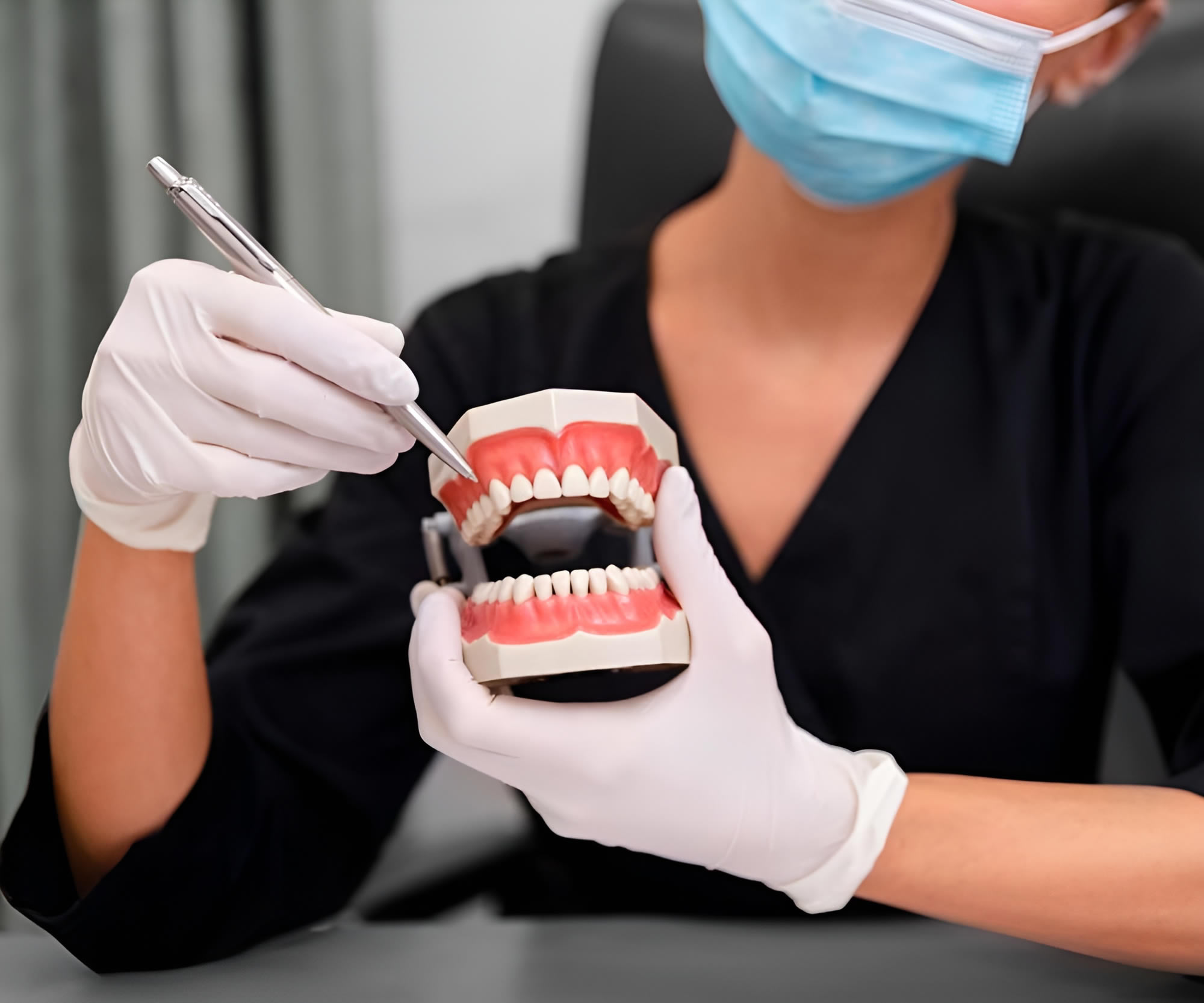 a person holding a model of teeth