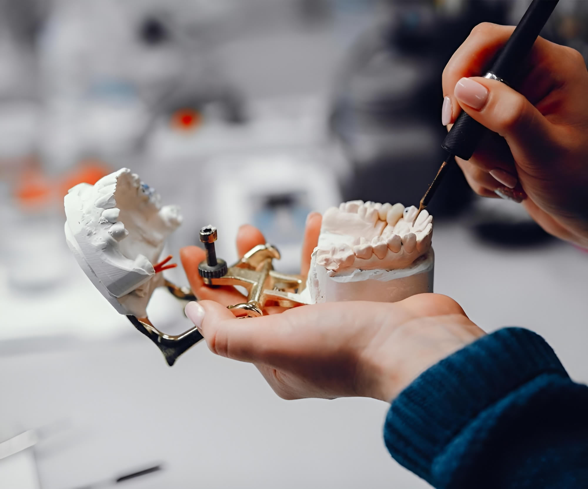 a person holding a model of a human jaw